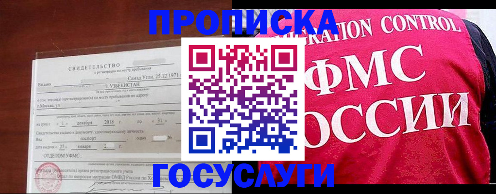 временная регистрация поиск в Курской области